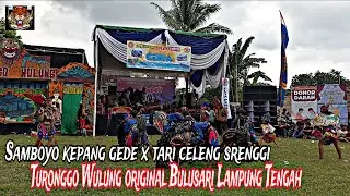 Samboyo kepang gede tari celeng srenggi jaranan Turonggo Wulung original Bulusari Lampung Tengah 