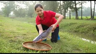 Harvesting Catfish in the Village Pond &ndash; Peaceful Nature Moments | Hana Farm Bushcraft