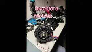 Thrustmaster T818 eliminazione  rumore interno