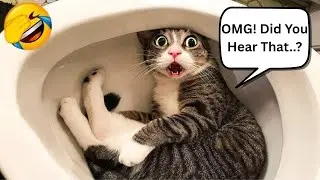CAT SPEAKS ENGLISH BETTER THAN YOU 🤣: Best Funny Talking Cat Compilation (EP2)