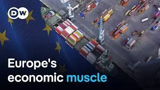 European firms have adjusted to the tariff shock | DW News