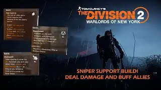 DEAL DAMAGE AND BUFF ALLIES! SNIPER SUPPORT BUILD!