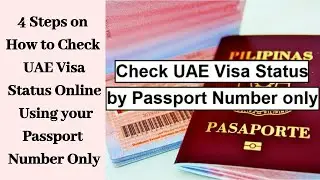 HOW TO CHECK UAE VISA STATUS ONLINE WITH YOUR PASSPORT NUMBER 2020 | 4 STEPS QUICK & EASY