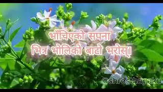 jiwan sada parijatko fyl banosh जीवन सदा पारीजात #viralnepal #nepalimusic #nepalitiktok 