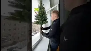 ЁЛКА В ОКНО 😱 #shorts #shortvideo #standoff2