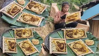 Harvesting wild honey to make medicine, corn weeding, take care of animals on the farm