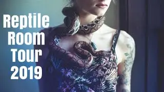 Reptile Room Tour (May 2019)