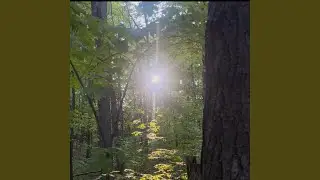 where she lives