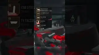 The best P90 (PDSW 528) class for shipment MW2 #shorts