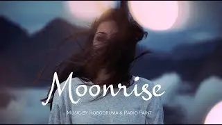 Moonrise 🛣 Halsey / Alternative Type Beat [By Robodruma & Radio Paint]