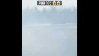 #audiRS5#audi#audilovers#audishorts video