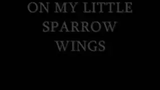 Little Sparrow - David Cook [Studio Track & Lyrics]