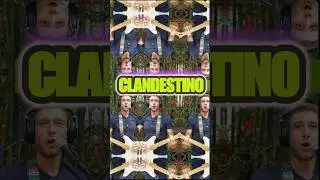 CLANDESTINO 🔥 #manuchao #cover #loop 🎧