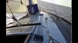 Wibo 945 op de westerschelde.