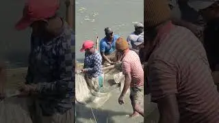 seelavathi chepa  patadam jarugutundi