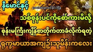နီမောင်နှင့်  သစ်စုန်းပင်ကိုစော်ကားမိလို့ စုန်းမ ကျိန်စာသင့်သွားတဲ့ မိန်းကလေး (အစအဆုံး)