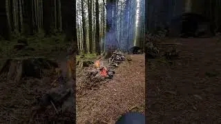 camping in Galloway forest
