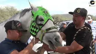 EL BANDIDO vs EL RAYO vs EL BARCO