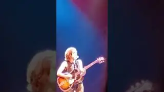 Ani Difranco 