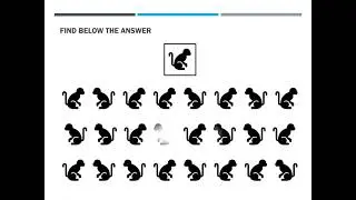 Vision2Brain Practice visual attention