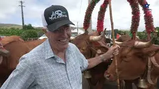 Entre cortejos e emoções: o espelho da Açorianidade