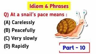 Idiom & Phrases Most Expected Questions For SSC and Other Exams || Idiom & Phrases Part 10