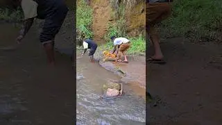 fake tiger prank 😁