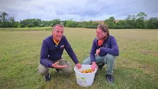 🎥 À la découverte de la Ferme de Chennery : l’élevage de daims en Argonne Ardennaise 🦌🌿