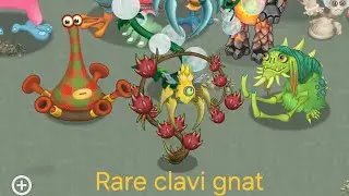My singing monsters let's get rare clavi gnat