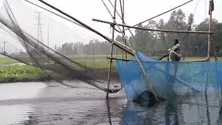 Really Lot of Big rohu fish catching 🌹 katla fish fishing video
