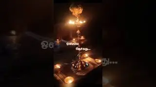 ஒளியிலே தெரிவது தேவதையா#night melody with illayaraaja music #shortsfeed #ytshorts #trending #virel