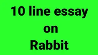 10 line essay on rabbit/essay on rabbit/paragraph on rabbit/features of rabbit/importance of rabbit