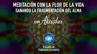 MEDITACIÓN CON LA FLOR DE LA VIDA 🌀SANANDO LA FRAGMENTACIÓN DEL ALMA con Akasha