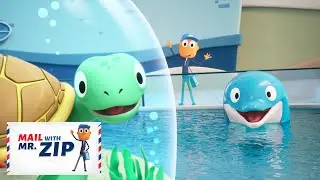 Turtle Birthday Party at the Aquarium! | Mail with Mr.ZIP | Fun Videos for Kids & Families