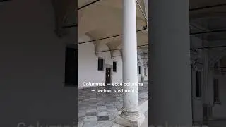 Porticus | It's feminine! #shorts #latin #latinlanguage #amicacerta #roman #udine #grammar