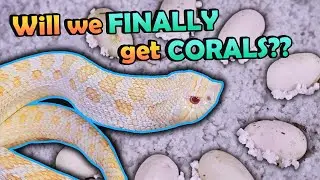 Our 