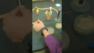 Method: Isolation of pure culture🔥🔥🔥