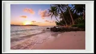 Reggae LoFi Hip Hop Beach Mix | Relaxing Study Music | Aesthetic White TV Frame Tropical Beach Scene