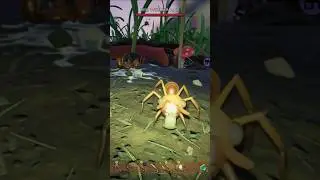 Grounded: no witnesses