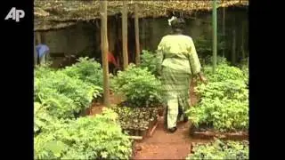 1st African Woman to Win Nobel Peace Prize Dies