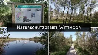 Naturschutzgebiet WITTMOOR // Hamburg // Impressionen im September 2020