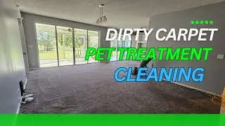 Best Pet Treatment Carpet Cleaning in Fort Lauderdale FL 305-927-8488