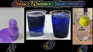 3 Amazing Water Experiments Testing At Home..😉💦Easy ScienceExperiments with water🌊3 Best watertrick