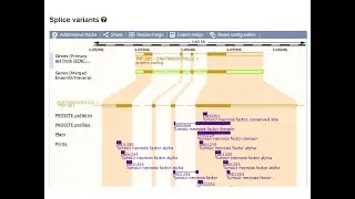 B Ensembl Genome Browser, Part 2