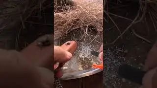 HOW TO USE A MAGNESIUM FIRE STARTER #shorts  #diy #campping #campinggear