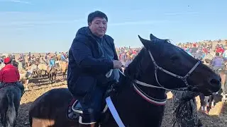 10.01.2026 Төлеби ауданы Екпінді ауылы Абдурахмановтар әулетінің Көкпар тойы
