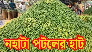ভারতের সব থেকে বড় পটলের হাট:নহাটা পটল হাট | এখানকার পটল দেশের প্রতিটি কোণে যাচ্ছে Nahata Patol Haat