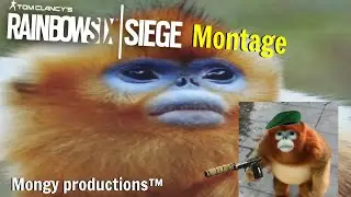 Operation Mongy - An R6 Montage