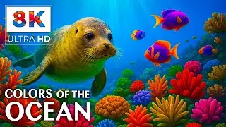 8K Ocean Bliss &ndash; Beautiful Underwater World for Sleep, Meditation, and Deep Relaxation Music