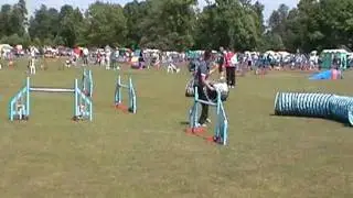 BATS 2011 ABC Jumping Ann & Rafe